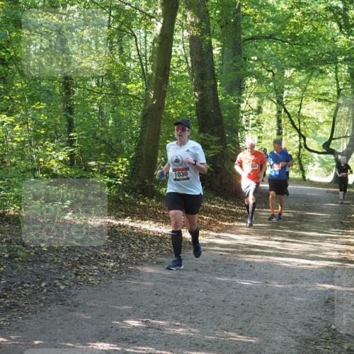 22.09.2024 - 32. Volkslauf durch das schöne Alstertal Miley Keyser http://msf.ph/oto/7136760 22.09.2024 10:25:58 Laufen 1030, 659 meine-sportfotos.de