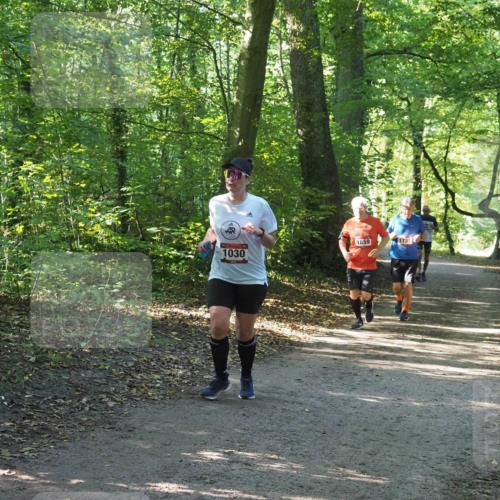 22.09.2024 - 32. Volkslauf durch das schöne Alstertal Miley Keyser http://msf.ph/oto/7136761 22.09.2024 10:25:59 Laufen 1659, 1731, 1030 meine-sportfotos.de