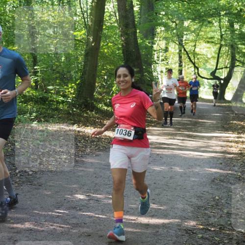 22.09.2024 - 32. Volkslauf durch das schöne Alstertal Miley Keyser http://msf.ph/oto/7136762 22.09.2024 10:25:55 Laufen 1641, 1036, 1030, 1454 meine-sportfotos.de