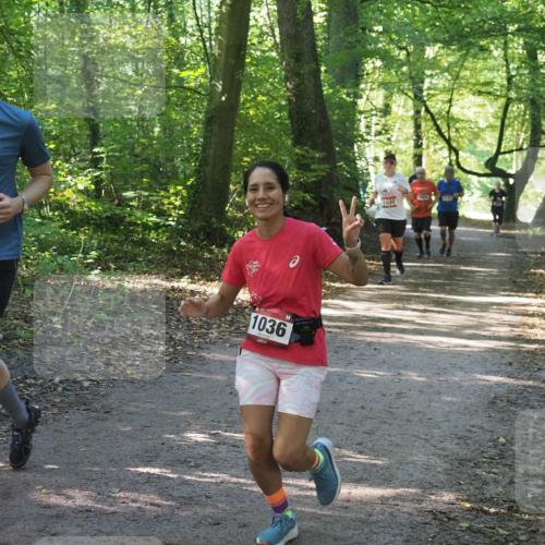 22.09.2024 - 32. Volkslauf durch das schöne Alstertal Miley Keyser http://msf.ph/oto/7136763 22.09.2024 10:25:55 Laufen 2019, 10, 18, 08, 2019, 1641, 1036, 1231, 1030 meine-sportfotos.de