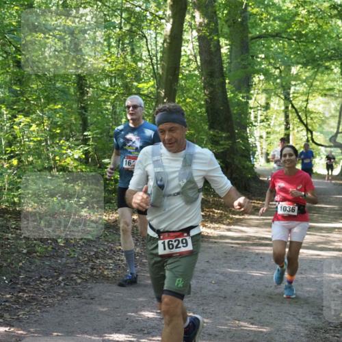22.09.2024 - 32. Volkslauf durch das schöne Alstertal Miley Keyser http://msf.ph/oto/7136764 22.09.2024 10:25:54 Laufen 16, 1629, 1036 meine-sportfotos.de