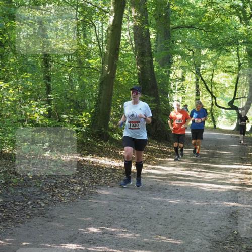 22.09.2024 - 32. Volkslauf durch das schöne Alstertal Miley Keyser http://msf.ph/oto/7136765 22.09.2024 10:25:58 Laufen 1030 meine-sportfotos.de