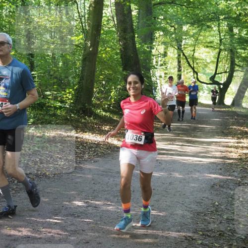 22.09.2024 - 32. Volkslauf durch das schöne Alstertal Miley Keyser http://msf.ph/oto/7136766 22.09.2024 10:25:55 Laufen 164, 1036, 1730, 030 meine-sportfotos.de