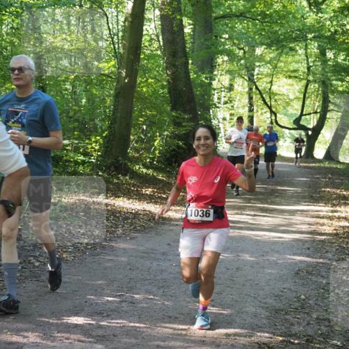 22.09.2024 - 32. Volkslauf durch das schöne Alstertal Miley Keyser http://msf.ph/oto/7136767 22.09.2024 10:25:55 Laufen 9, 1036, 1030, 1731 meine-sportfotos.de