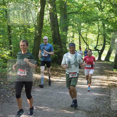 22.09.2024 - 32. Volkslauf durch das schöne Alstertal Miley Keyser http://msf.ph/oto/7136768 22.09.2024 10:25:53 Laufen 1057, 1641, 1629, 1036 meine-sportfotos.de