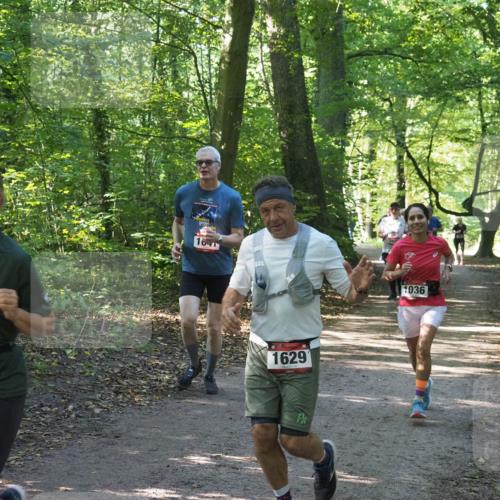 22.09.2024 - 32. Volkslauf durch das schöne Alstertal Miley Keyser http://msf.ph/oto/7136769 22.09.2024 10:25:54 Laufen 1057, 1641, 176, 1629, 1036 meine-sportfotos.de