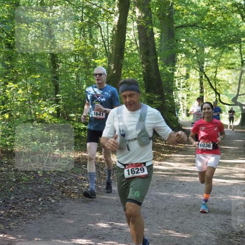 22.09.2024 - 32. Volkslauf durch das schöne Alstertal Miley Keyser http://msf.ph/oto/7136770 22.09.2024 10:25:54 Laufen 1641, 1030, 1629, 1036 meine-sportfotos.de
