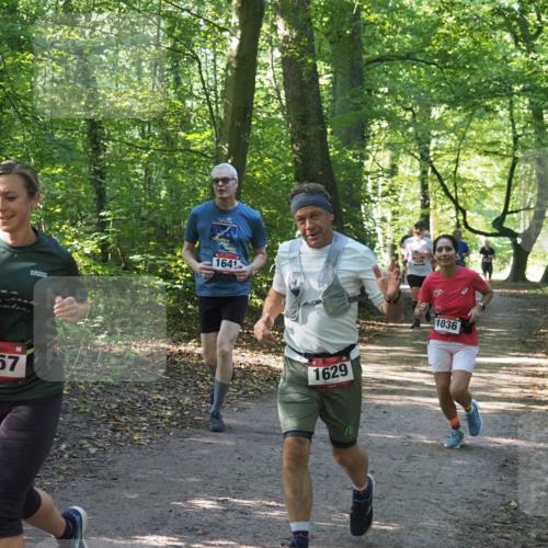 22.09.2024 - 32. Volkslauf durch das schöne Alstertal Miley Keyser http://msf.ph/oto/7136771 22.09.2024 10:25:54 Laufen 1057, 1641, 1030, 1629, 1036 meine-sportfotos.de