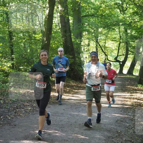 22.09.2024 - 32. Volkslauf durch das schöne Alstertal Miley Keyser http://msf.ph/oto/7136772 22.09.2024 10:25:53 Laufen 1057, 1641, 1629, 1036 meine-sportfotos.de