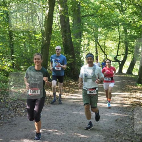 22.09.2024 - 32. Volkslauf durch das schöne Alstertal Miley Keyser http://msf.ph/oto/7136773 22.09.2024 10:25:53 Laufen 1057, 1641, 1629, 1036 meine-sportfotos.de