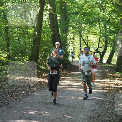 22.09.2024 - 32. Volkslauf durch das schöne Alstertal Miley Keyser http://msf.ph/oto/7136775 22.09.2024 10:25:52 Laufen 1057, 1629 meine-sportfotos.de