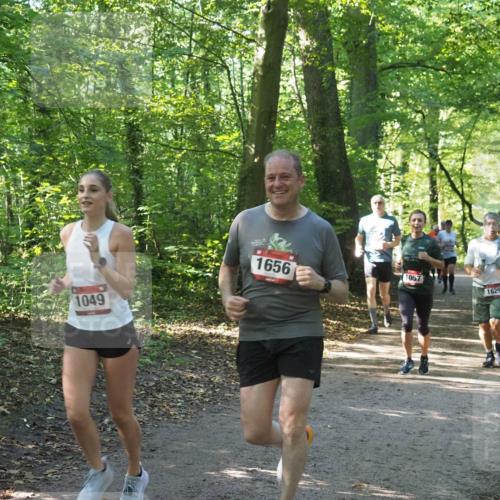 22.09.2024 - 32. Volkslauf durch das schöne Alstertal Miley Keyser http://msf.ph/oto/7136777 22.09.2024 10:25:51 Laufen 1049, 1656, 1057, 1629 meine-sportfotos.de