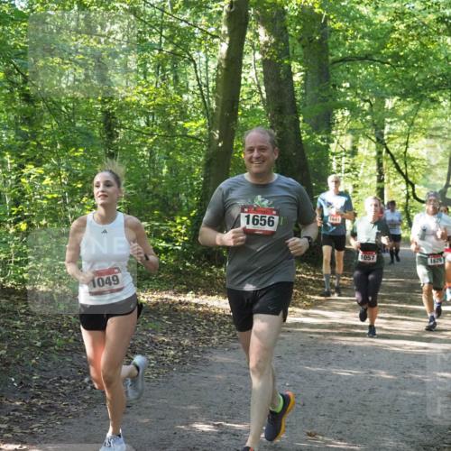 22.09.2024 - 32. Volkslauf durch das schöne Alstertal Miley Keyser http://msf.ph/oto/7136778 22.09.2024 10:25:51 Laufen 1049, 1656, 1641, 1057, 1629 meine-sportfotos.de
