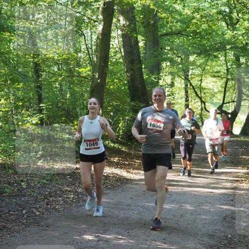 22.09.2024 - 32. Volkslauf durch das schöne Alstertal Miley Keyser http://msf.ph/oto/7136780 22.09.2024 10:25:50 Laufen 1049, 1656, 1629 meine-sportfotos.de