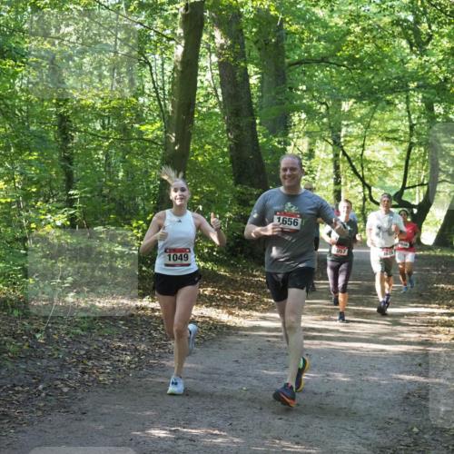 22.09.2024 - 32. Volkslauf durch das schöne Alstertal Miley Keyser http://msf.ph/oto/7136783 22.09.2024 10:25:50 Laufen 1049, 1656, 057, 1629, 1036 meine-sportfotos.de