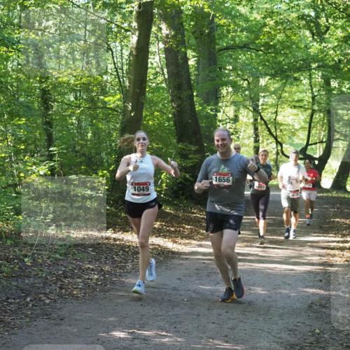 22.09.2024 - 32. Volkslauf durch das schöne Alstertal Miley Keyser http://msf.ph/oto/7136784 22.09.2024 10:25:50 Laufen 1049, 1656, 057, 1629 meine-sportfotos.de