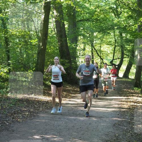 22.09.2024 - 32. Volkslauf durch das schöne Alstertal Miley Keyser http://msf.ph/oto/7136785 22.09.2024 10:25:50 Laufen 1049, 1656, 1629 meine-sportfotos.de
