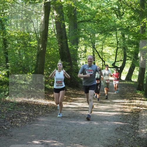 22.09.2024 - 32. Volkslauf durch das schöne Alstertal Miley Keyser http://msf.ph/oto/7136786 22.09.2024 10:25:49 Laufen 1049, 1656, 057, 1629, 36 meine-sportfotos.de