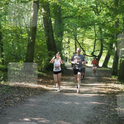22.09.2024 - 32. Volkslauf durch das schöne Alstertal Miley Keyser http://msf.ph/oto/7136787 22.09.2024 10:25:49 Laufen 1049, 1656, 1629, 1036 meine-sportfotos.de