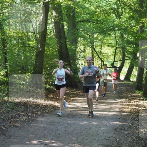 22.09.2024 - 32. Volkslauf durch das schöne Alstertal Miley Keyser http://msf.ph/oto/7136788 22.09.2024 10:25:49 Laufen 1049, 656, 057, 1629, 1036 meine-sportfotos.de