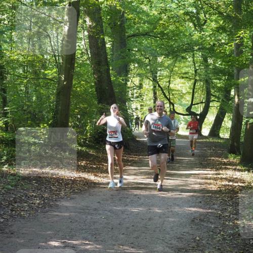 22.09.2024 - 32. Volkslauf durch das schöne Alstertal Miley Keyser http://msf.ph/oto/7136789 22.09.2024 10:25:49 Laufen 1049, 1656, 1629, 1036 meine-sportfotos.de