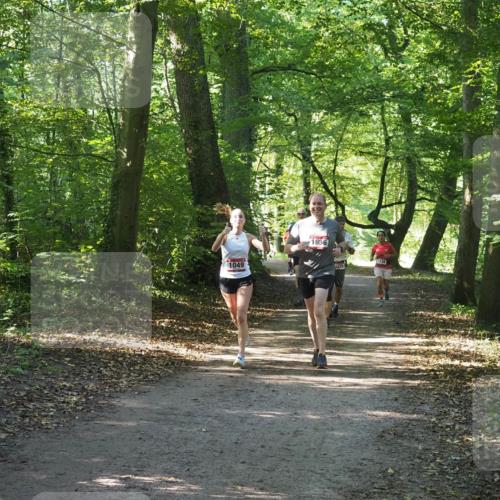 22.09.2024 - 32. Volkslauf durch das schöne Alstertal Miley Keyser http://msf.ph/oto/7136790 22.09.2024 10:25:49 Laufen 1049, 1656, 1629, 1036 meine-sportfotos.de