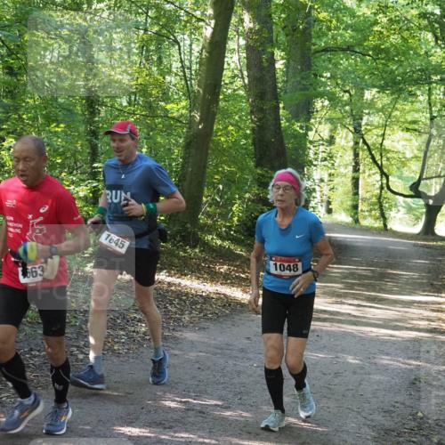 22.09.2024 - 32. Volkslauf durch das schöne Alstertal Miley Keyser http://msf.ph/oto/7136796 22.09.2024 10:25:30 Laufen 663, 1048, 1645 meine-sportfotos.de