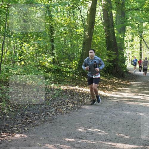 22.09.2024 - 32. Volkslauf durch das schöne Alstertal Miley Keyser http://msf.ph/oto/7136817 22.09.2024 10:25:18 Laufen 1671 meine-sportfotos.de