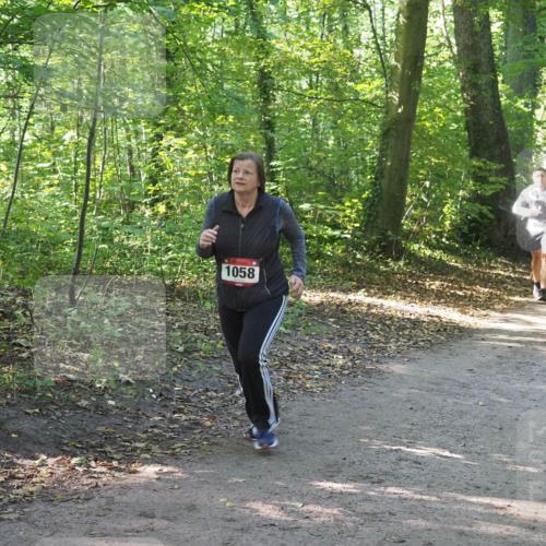 22.09.2024 - 32. Volkslauf durch das schöne Alstertal Miley Keyser http://msf.ph/oto/7136819 22.09.2024 10:25:16 Laufen 1058 meine-sportfotos.de
