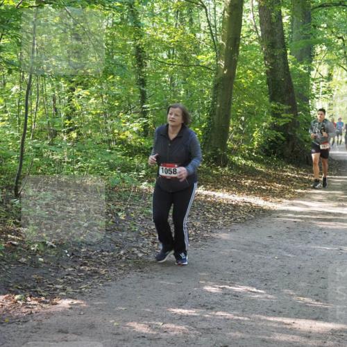 22.09.2024 - 32. Volkslauf durch das schöne Alstertal Miley Keyser http://msf.ph/oto/7136822 22.09.2024 10:25:15 Laufen 1058, 1671 meine-sportfotos.de