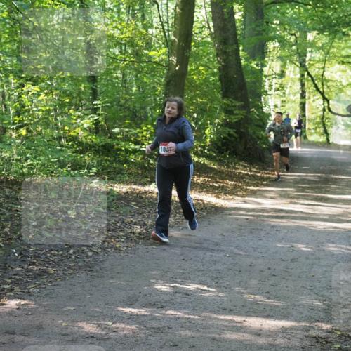 22.09.2024 - 32. Volkslauf durch das schöne Alstertal Miley Keyser http://msf.ph/oto/7136823 22.09.2024 10:25:15 Laufen 105, 16705 meine-sportfotos.de