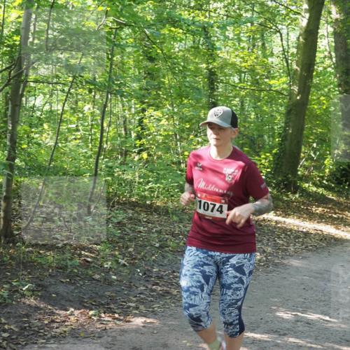 22.09.2024 - 32. Volkslauf durch das schöne Alstertal Miley Keyser http://msf.ph/oto/7136826 22.09.2024 10:25:08 Laufen 1074 meine-sportfotos.de