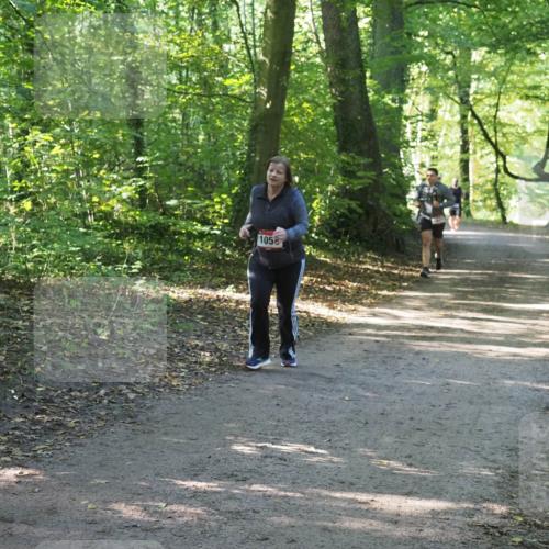 22.09.2024 - 32. Volkslauf durch das schöne Alstertal Miley Keyser http://msf.ph/oto/7136828 22.09.2024 10:25:15 Laufen 105 meine-sportfotos.de