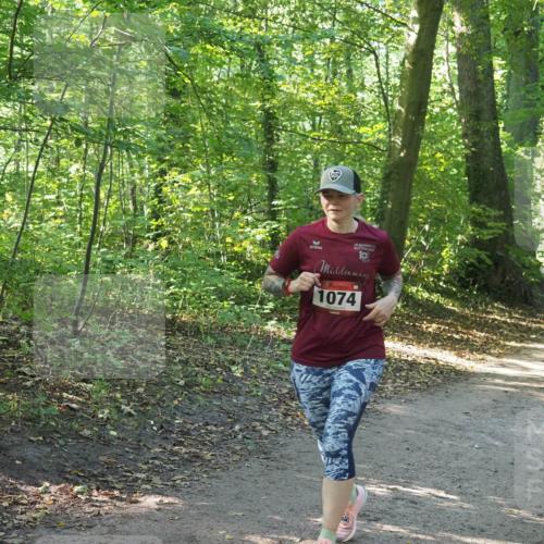 22.09.2024 - 32. Volkslauf durch das schöne Alstertal Miley Keyser http://msf.ph/oto/7136830 22.09.2024 10:25:08 Laufen 30, 10, 1074 meine-sportfotos.de