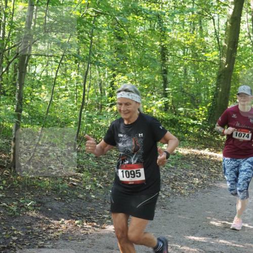 22.09.2024 - 32. Volkslauf durch das schöne Alstertal Miley Keyser http://msf.ph/oto/7136831 22.09.2024 10:25:07 Laufen 10, 1074, 1095 meine-sportfotos.de