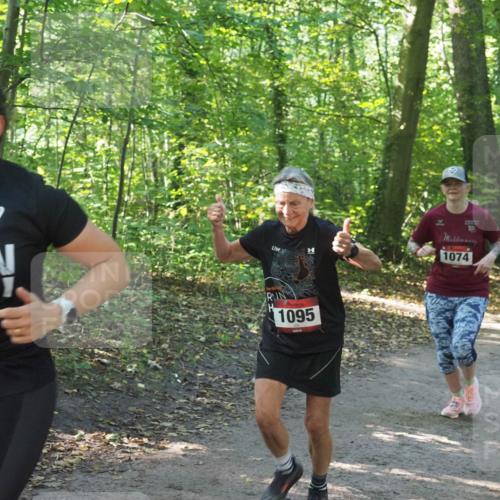 22.09.2024 - 32. Volkslauf durch das schöne Alstertal Miley Keyser http://msf.ph/oto/7136833 22.09.2024 10:25:07 Laufen 1095, 10, 1074, 31 meine-sportfotos.de
