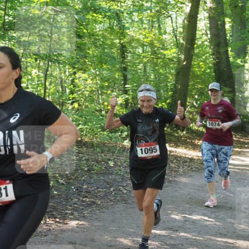 22.09.2024 - 32. Volkslauf durch das schöne Alstertal Miley Keyser http://msf.ph/oto/7136835 22.09.2024 10:25:07 Laufen 1031, 1074, 1095 meine-sportfotos.de