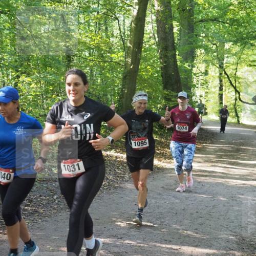 22.09.2024 - 32. Volkslauf durch das schöne Alstertal Miley Keyser http://msf.ph/oto/7136839 22.09.2024 10:25:06 Laufen 10, 1140, 1031, 1095, 1074 meine-sportfotos.de