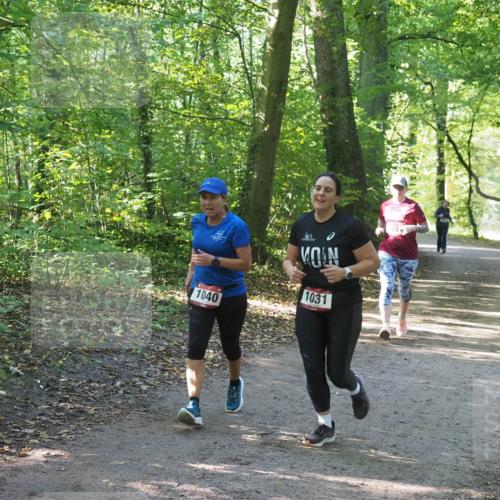 22.09.2024 - 32. Volkslauf durch das schöne Alstertal Miley Keyser http://msf.ph/oto/7136841 22.09.2024 10:25:05 Laufen 1040, 1031, 1074 meine-sportfotos.de