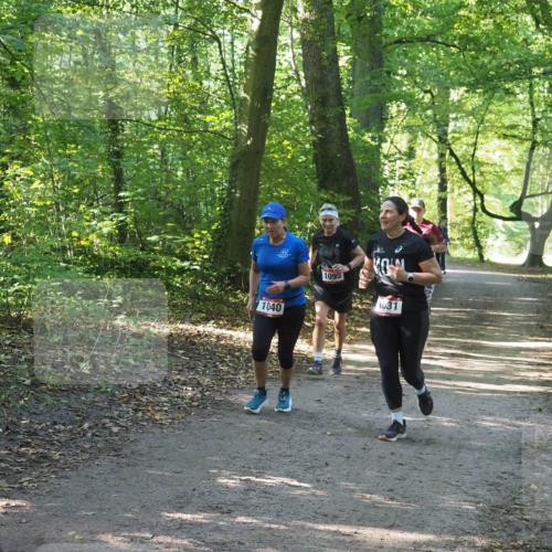 22.09.2024 - 32. Volkslauf durch das schöne Alstertal Miley Keyser http://msf.ph/oto/7136842 22.09.2024 10:25:04 Laufen 1040, 1095, 1031 meine-sportfotos.de