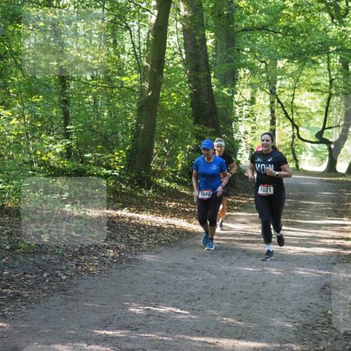22.09.2024 - 32. Volkslauf durch das schöne Alstertal Miley Keyser http://msf.ph/oto/7136843 22.09.2024 10:25:04 Laufen 1040, 1031 meine-sportfotos.de