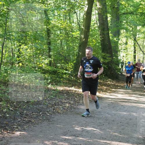 22.09.2024 - 32. Volkslauf durch das schöne Alstertal Miley Keyser http://msf.ph/oto/7136847 22.09.2024 10:25:01 Laufen 1668, 1040, 1031 meine-sportfotos.de
