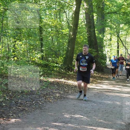 22.09.2024 - 32. Volkslauf durch das schöne Alstertal Miley Keyser http://msf.ph/oto/7136850 22.09.2024 10:25:01 Laufen 1668, 1031, 1040 meine-sportfotos.de