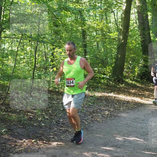 22.09.2024 - 32. Volkslauf durch das schöne Alstertal Miley Keyser http://msf.ph/oto/7136852 22.09.2024 10:24:59 Laufen 1634, 1668 meine-sportfotos.de