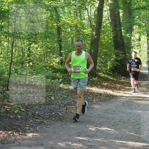 22.09.2024 - 32. Volkslauf durch das schöne Alstertal Miley Keyser http://msf.ph/oto/7136853 22.09.2024 10:24:59 Laufen 1634, 1668, 1031, 1040 meine-sportfotos.de