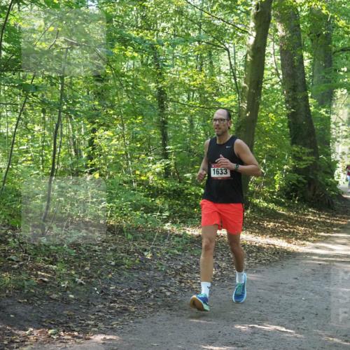22.09.2024 - 32. Volkslauf durch das schöne Alstertal Miley Keyser http://msf.ph/oto/7136859 22.09.2024 10:24:53 Laufen 1633 meine-sportfotos.de