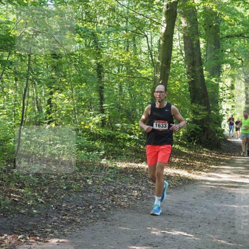 22.09.2024 - 32. Volkslauf durch das schöne Alstertal Miley Keyser http://msf.ph/oto/7136861 22.09.2024 10:24:53 Laufen 1633 meine-sportfotos.de