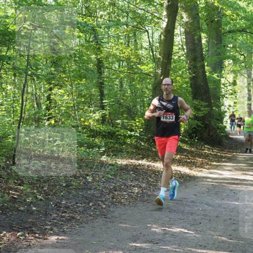 22.09.2024 - 32. Volkslauf durch das schöne Alstertal Miley Keyser http://msf.ph/oto/7136862 22.09.2024 10:24:53 Laufen 1633, 163 meine-sportfotos.de