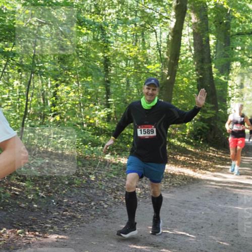 22.09.2024 - 32. Volkslauf durch das schöne Alstertal Miley Keyser http://msf.ph/oto/7136869 22.09.2024 10:24:51 Laufen 1589 meine-sportfotos.de