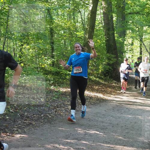 22.09.2024 - 32. Volkslauf durch das schöne Alstertal Miley Keyser http://msf.ph/oto/7136885 22.09.2024 10:24:46 Laufen 1664, 1052, 1635, 1061 meine-sportfotos.de